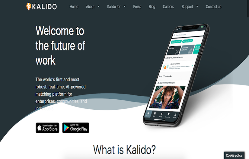 Kalido screenshot 1